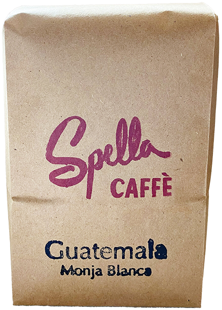 Guatemala Monja Blanca