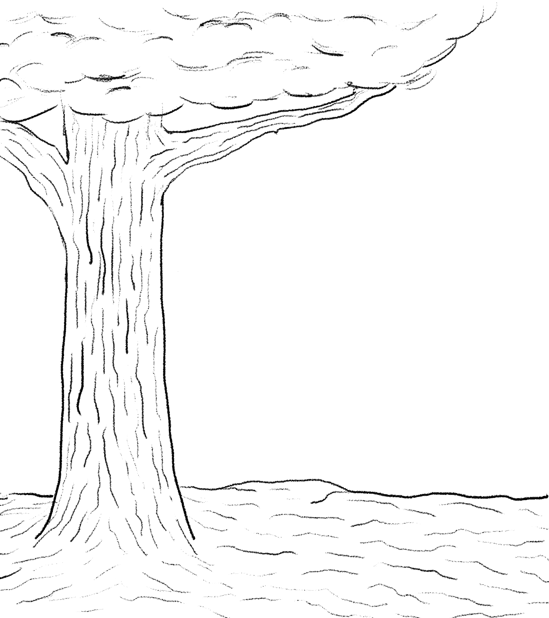 The Mother Tree