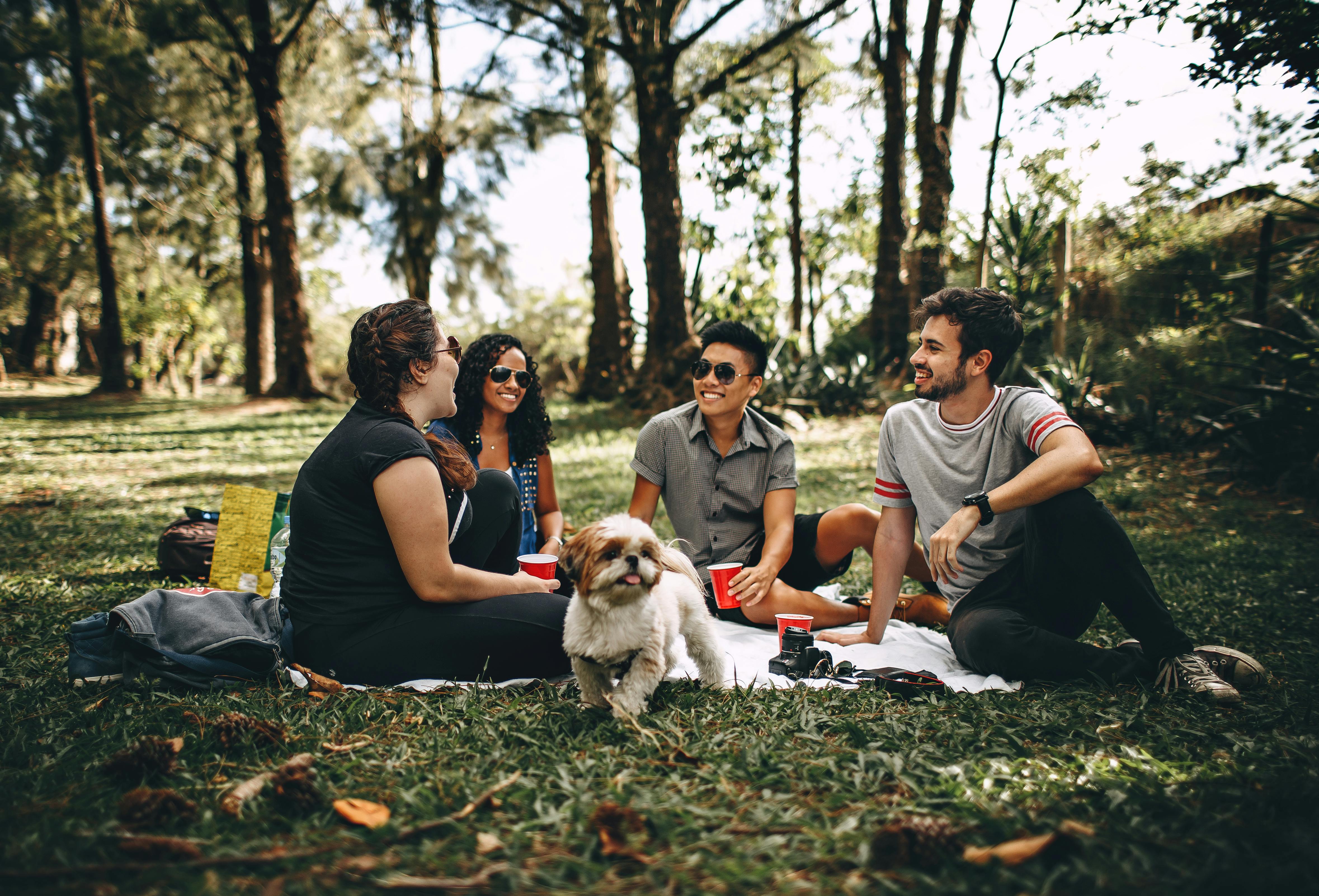 a group of four young people and a dog all sitting on a blanket in a wooded area.
